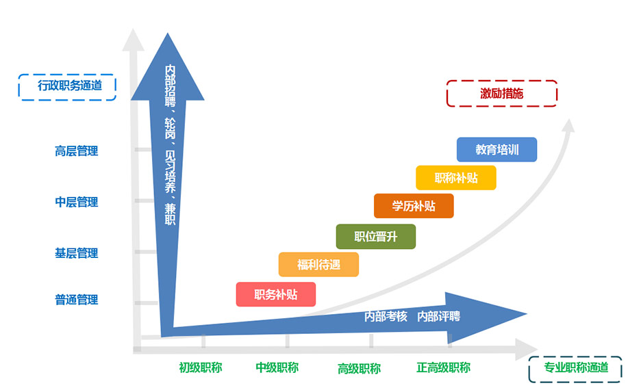 雙軌制職業(yè)規劃發(fā)展體系