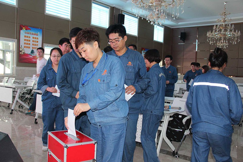 科邁化工股份有限公司黨支部圓滿(mǎn)完成換屆選舉工作！